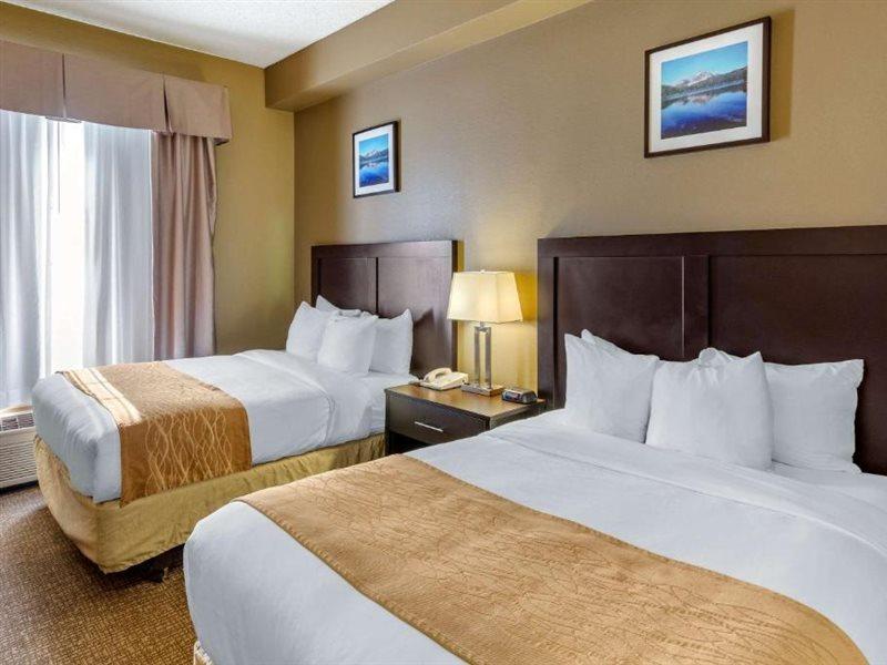 Comfort Inn Evanston I-80 Zewnętrze zdjęcie